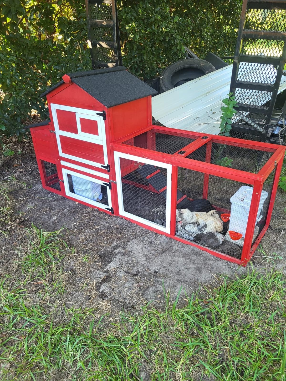 Extra Large Mobile Chicken Coop with Run, Portable Chicken Tractor with Wheels, 76.7