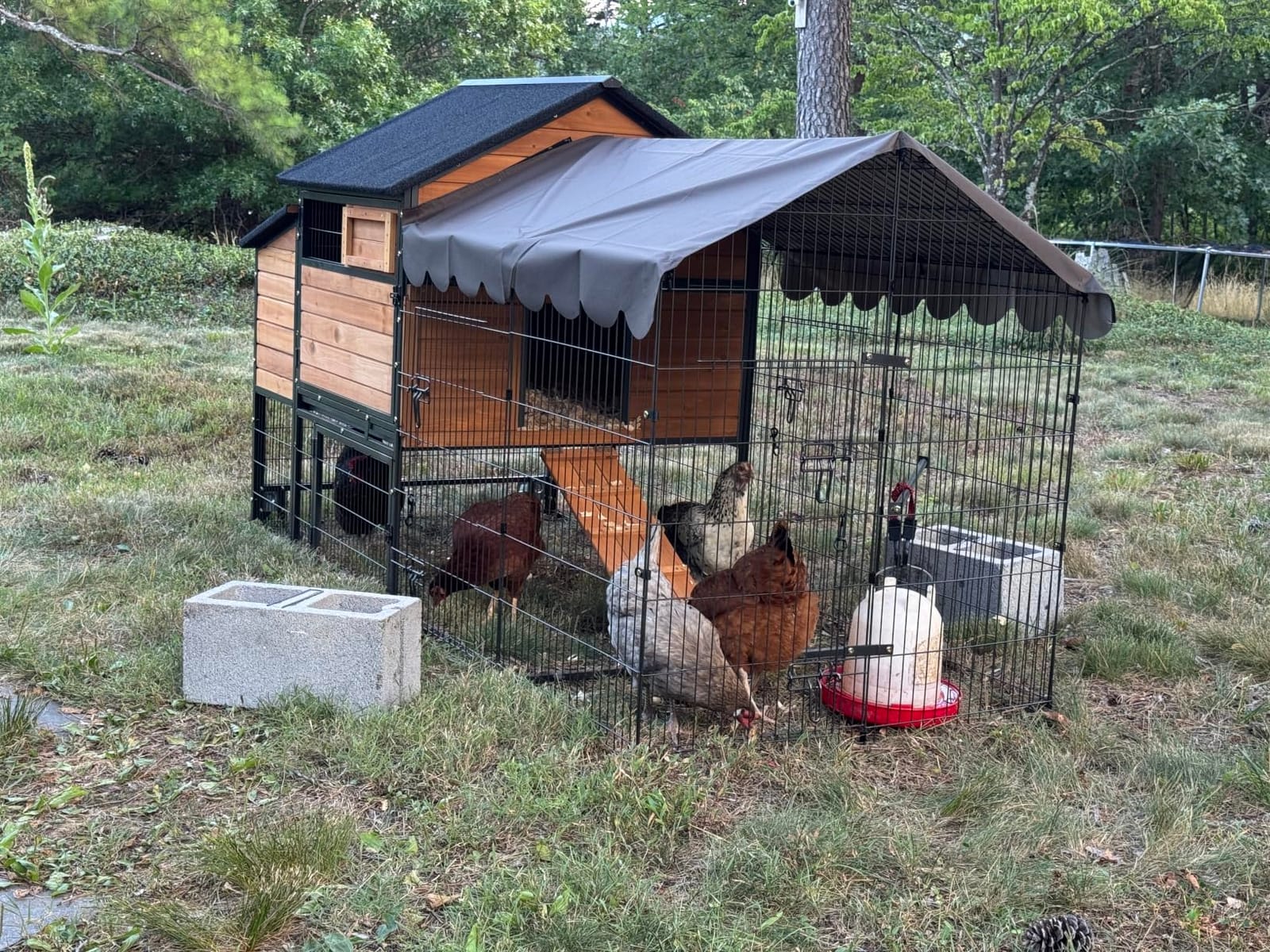 80.5’’ Outdoor Chicken Coop, Mobile Chicken Tractor with Wheels, Large Poultry Hen Cage with Nesting Box, Waterproof Roof and Sliding Out Tray, Wooden Chicken House for 2-4 Chickens customer photo 1
