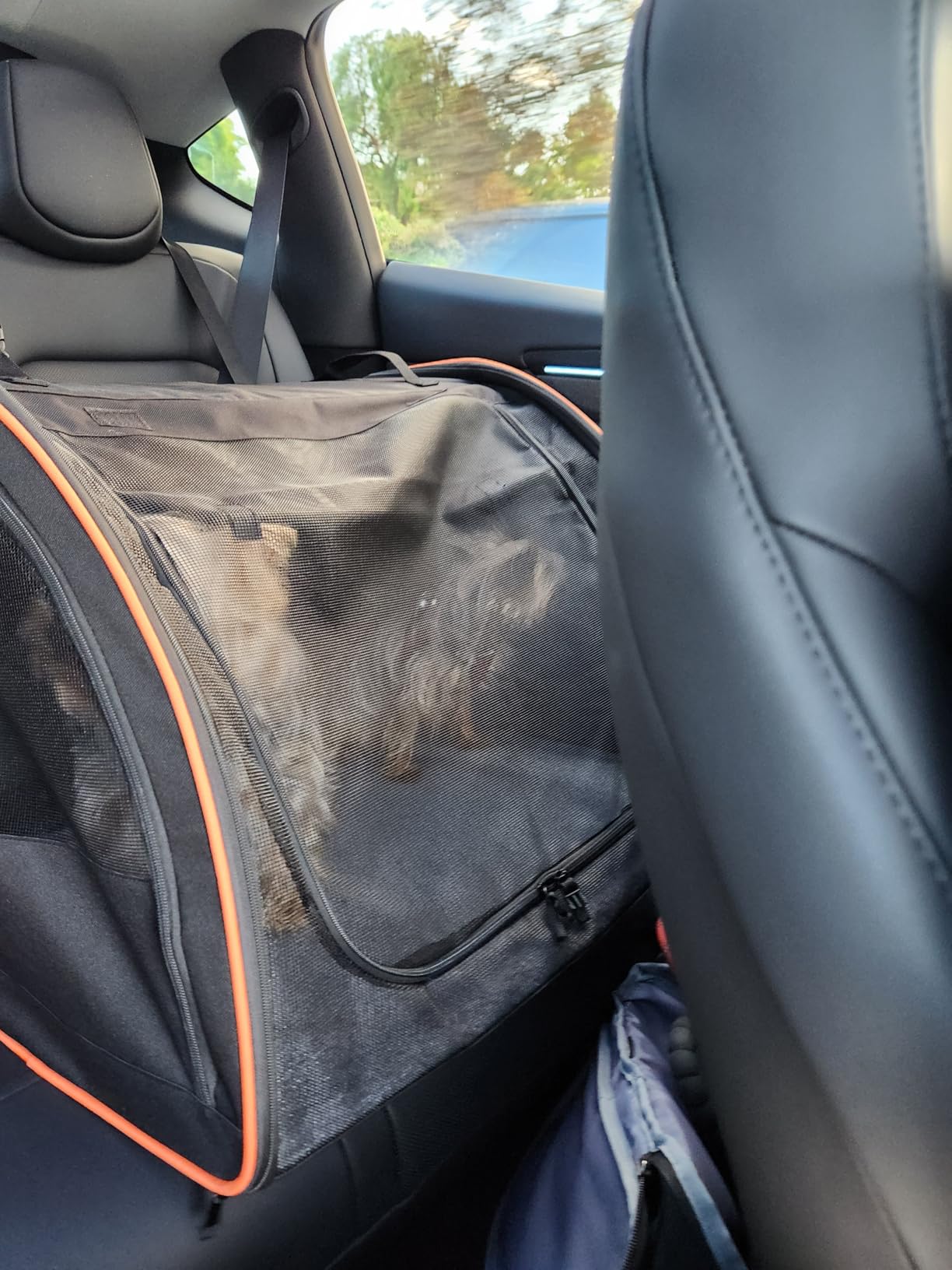 Dog Car Seat, Enclosed Carrier for Pets Travel Safety Dog Crate Soft-Sided Covered Car Kennel Carrier for Backseat for Medium Dogs customer photo 1