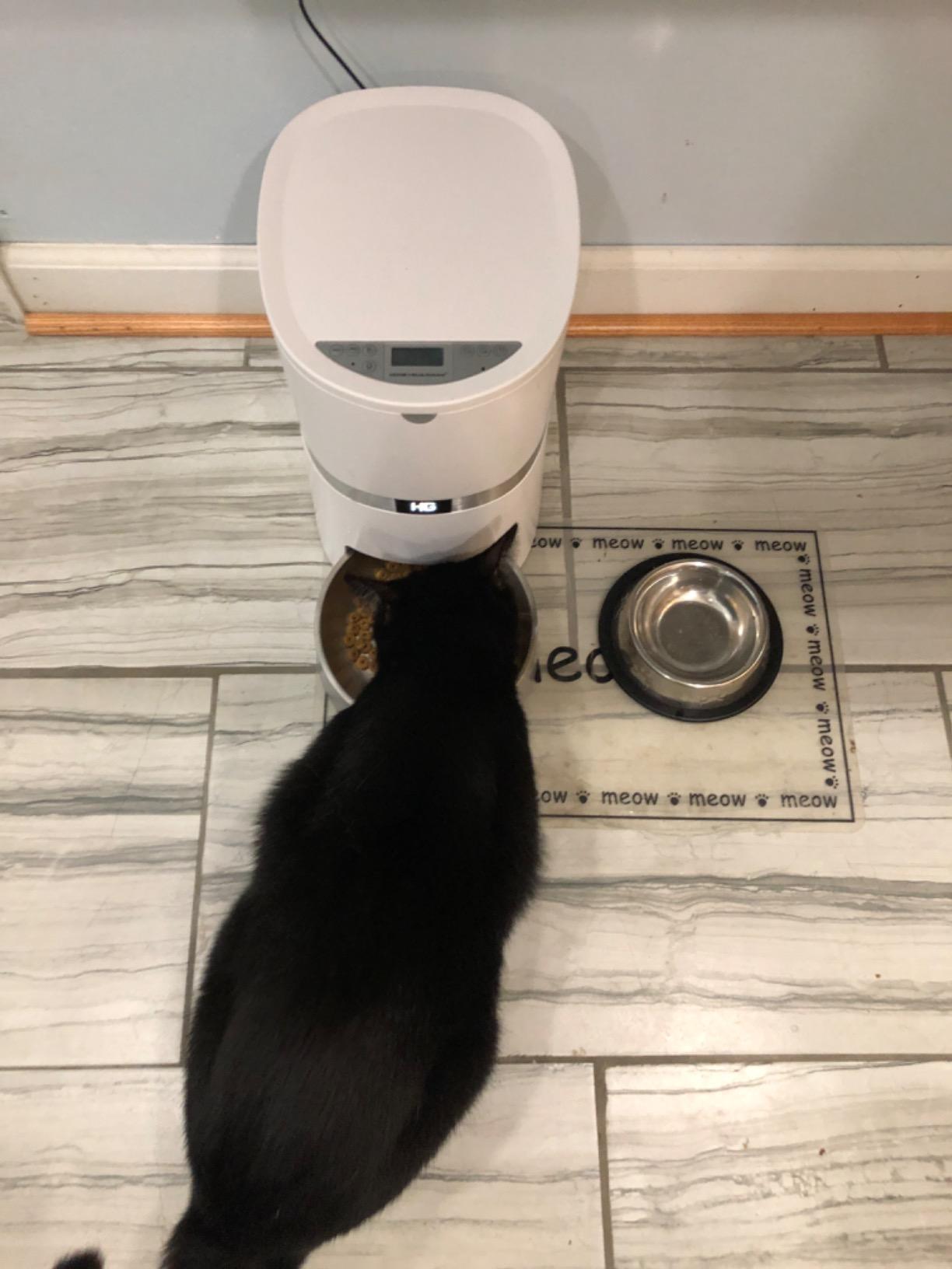 HoneyGuaridan Automatic Cat Feeder for 2 Cats, 2.4/5G WiFi Smart Feed Pet Feeder with Stainless Steel Bowl,APP Control Dispenser, Dual Power Supply,Desiccant Bag,10s Meal Call Black customer photo 2