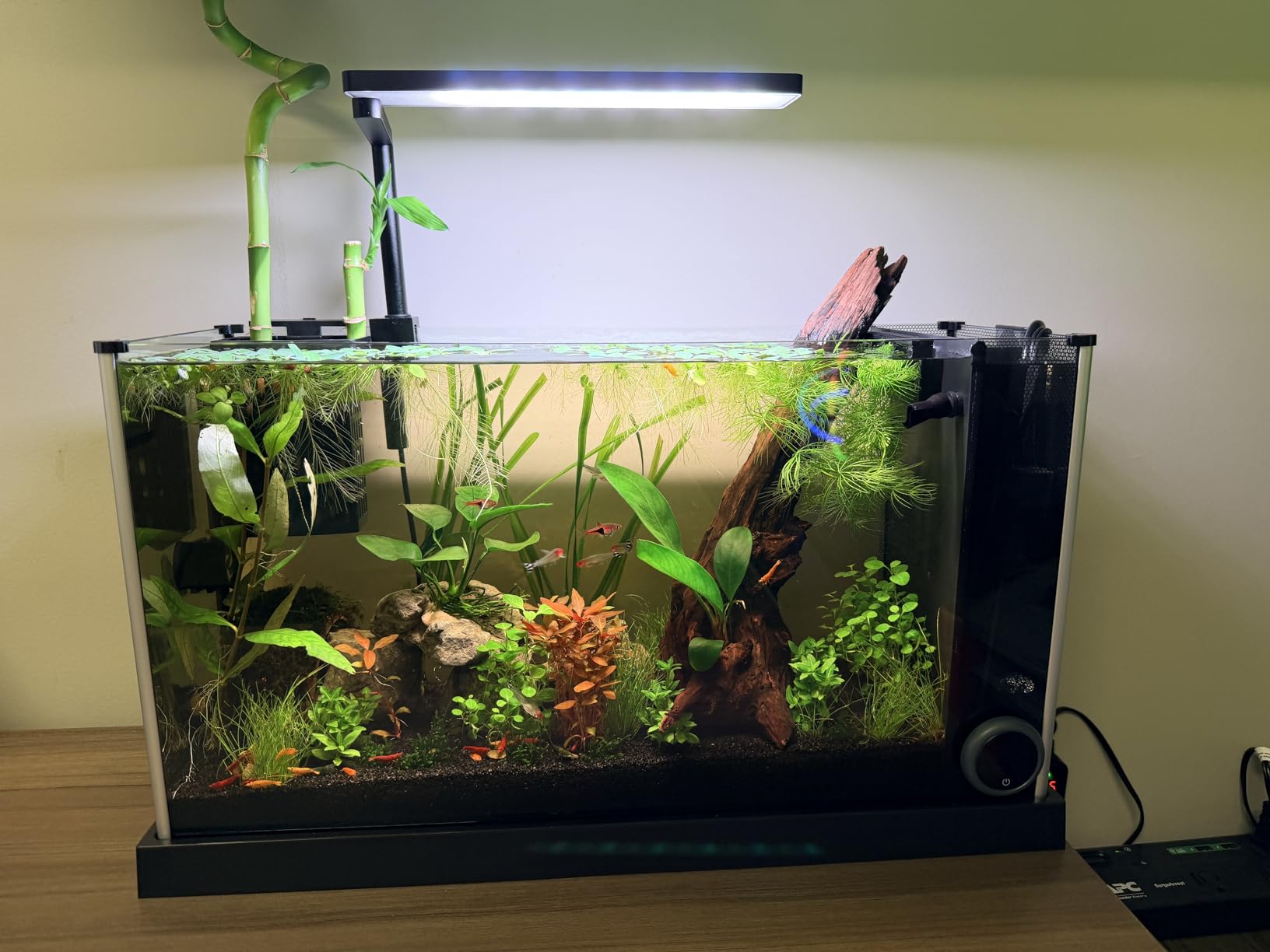FZONE Solo Series Nano Aquarium Light for Saltwater and Reef Coral Tanks customer photo 1