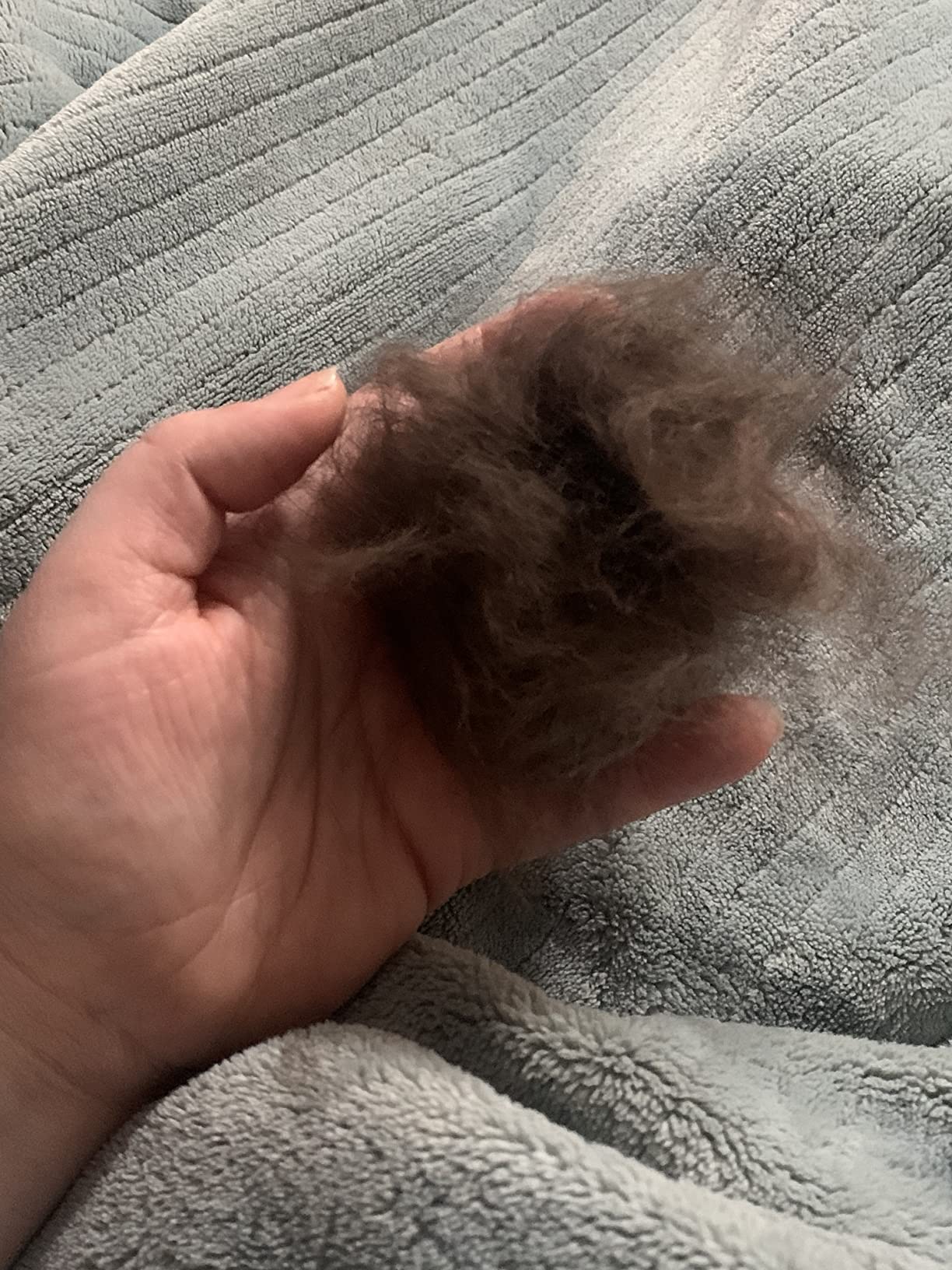 Pecute Self-Cleaning Undercoat Rake for Dogs Cats with Long/Double Coats customer photo 1