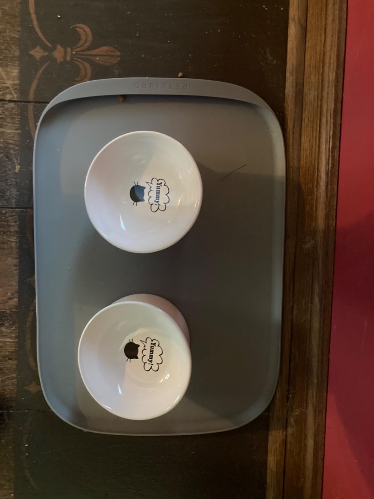 PETLIBRO Automatic Cat Feeder for 2 Cats, AI Recognition Camera Intake Log customer photo 1