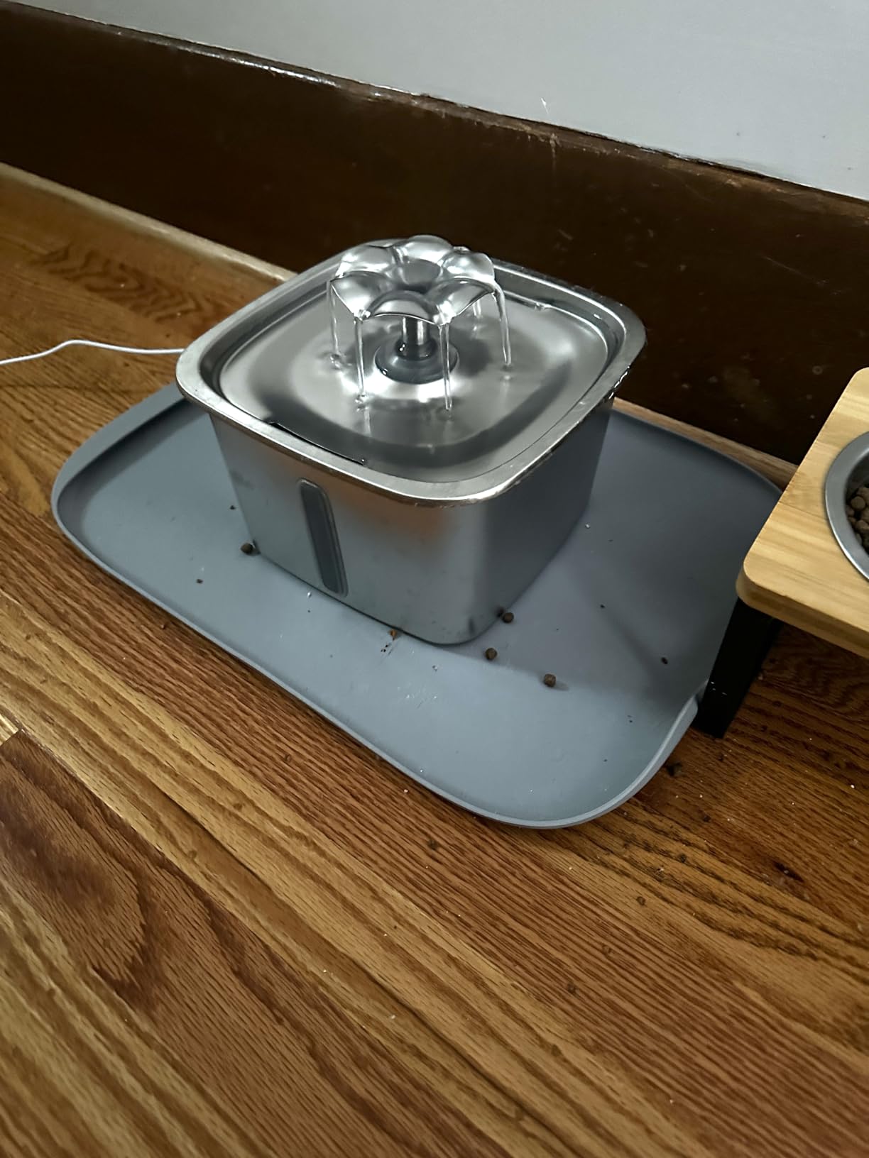 PETLIBRO Automatic Cat Feeder for 2 Cats, AI Recognition Camera Intake Log customer photo 2