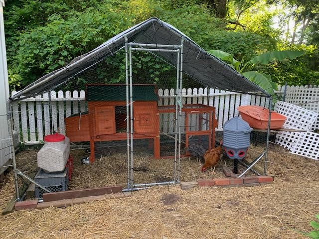 Metal Chicken Coop 7x6.6x6ft Walk-in Poultry Cage for 5-10 Chickens Chicken Run Hen Rabbit Duck House with Waterproof Cover for Outdoor Farm Use customer photo 2