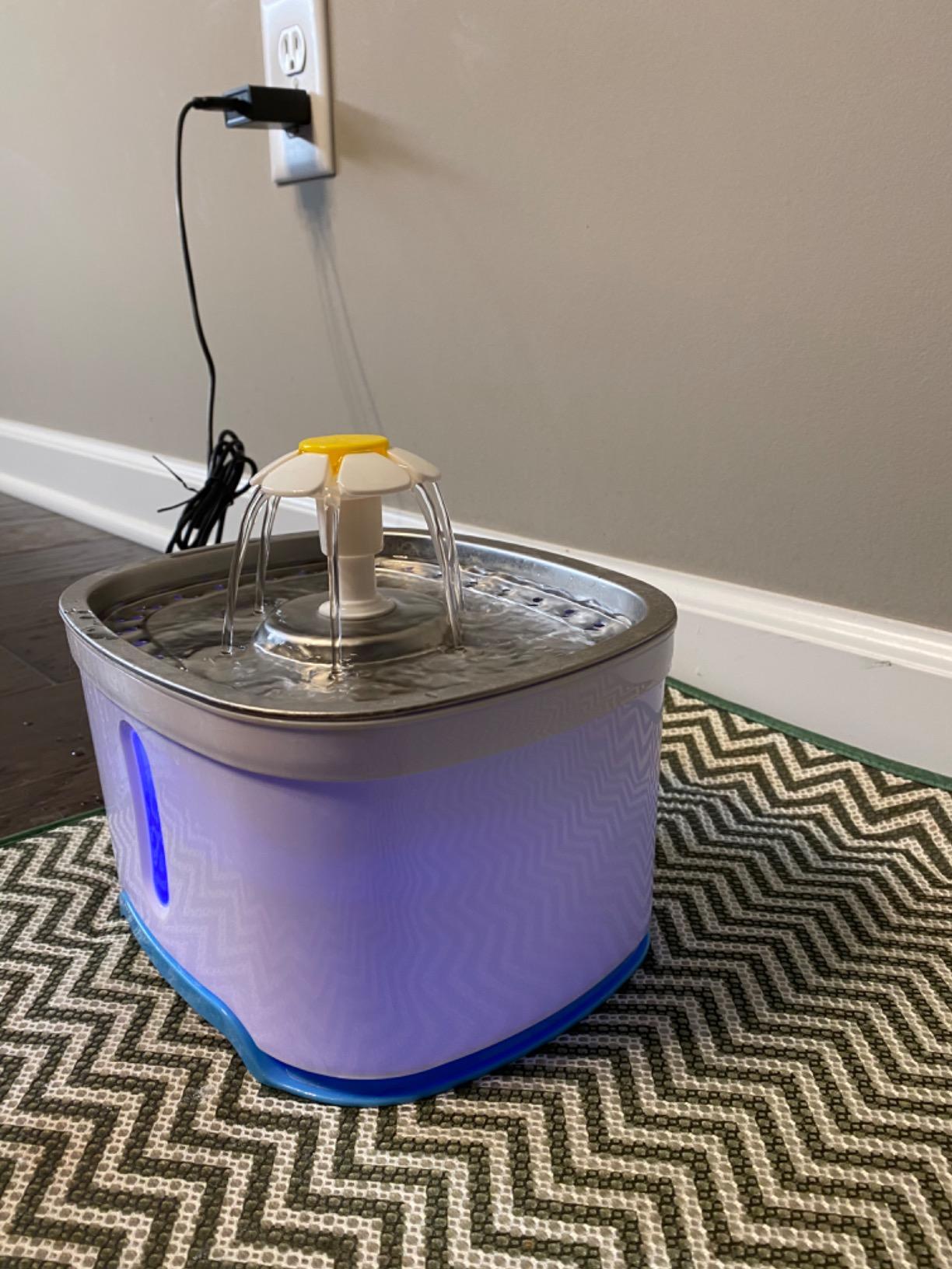 Wireless-Stainless Steel Cat Water Fountain-108oz/3.2L Pet Fountain Rechargeable & Cordless Design, Ultra-Quiet Pump-Easy to Clean-BPA-Free Automatic Water Dispenser customer photo 1