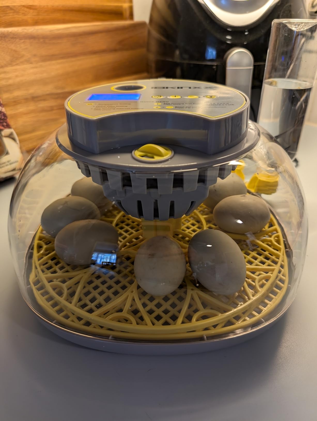 IBKINXX Incubator for Hatching Eggs-48 Egg Capacity, 2026 Newly Upraded Auto Egg Turner & Auto Precision Humidity Control System, 360° Clear Viewing for Chicken, Duck and Quail Eggs (Yellow) customer photo 1