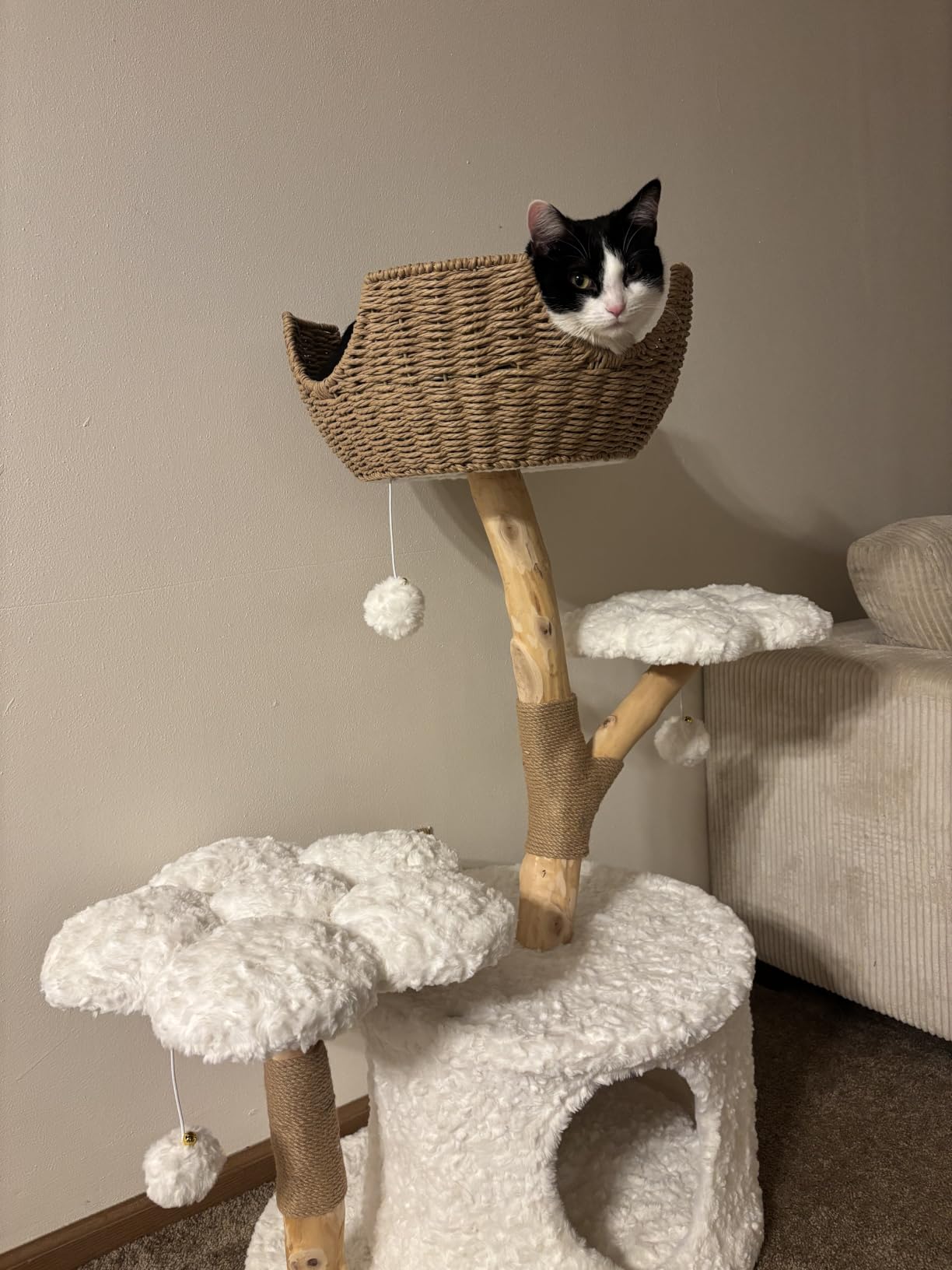 Easyego Modern Cat Tree, 26.3