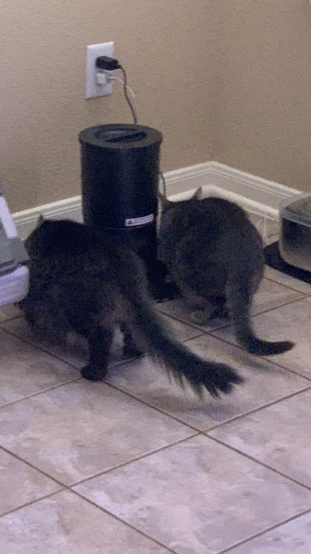 Automatic Cat Feeder 2 Cats, 4.2L Dry Food Auto Dispenser with Double Bowls,Dual Power Supply,Programmable Portion Control,10s Voice Recorde (White) customer photo 2