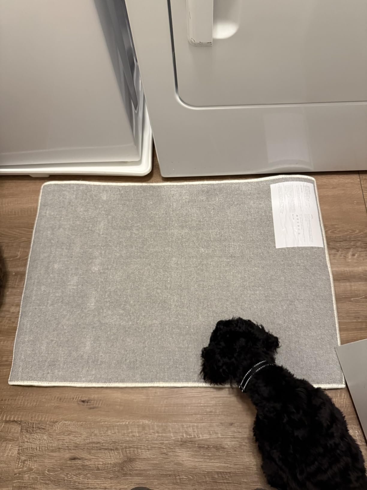 ANSSO Wool Rugs 8x10 for Living Room, 80% Merino Wool and 20% Cotton Soft Tufted Area Rug customer photo 2