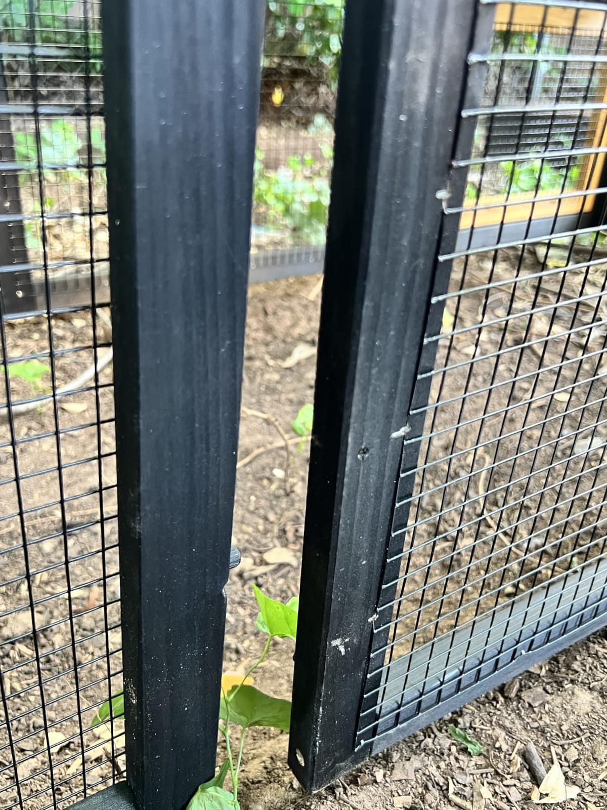 Petsfit Outdoor Chicken Coop with Run for 4-6 Chickens, 3 Nesting Boxes customer photo 1