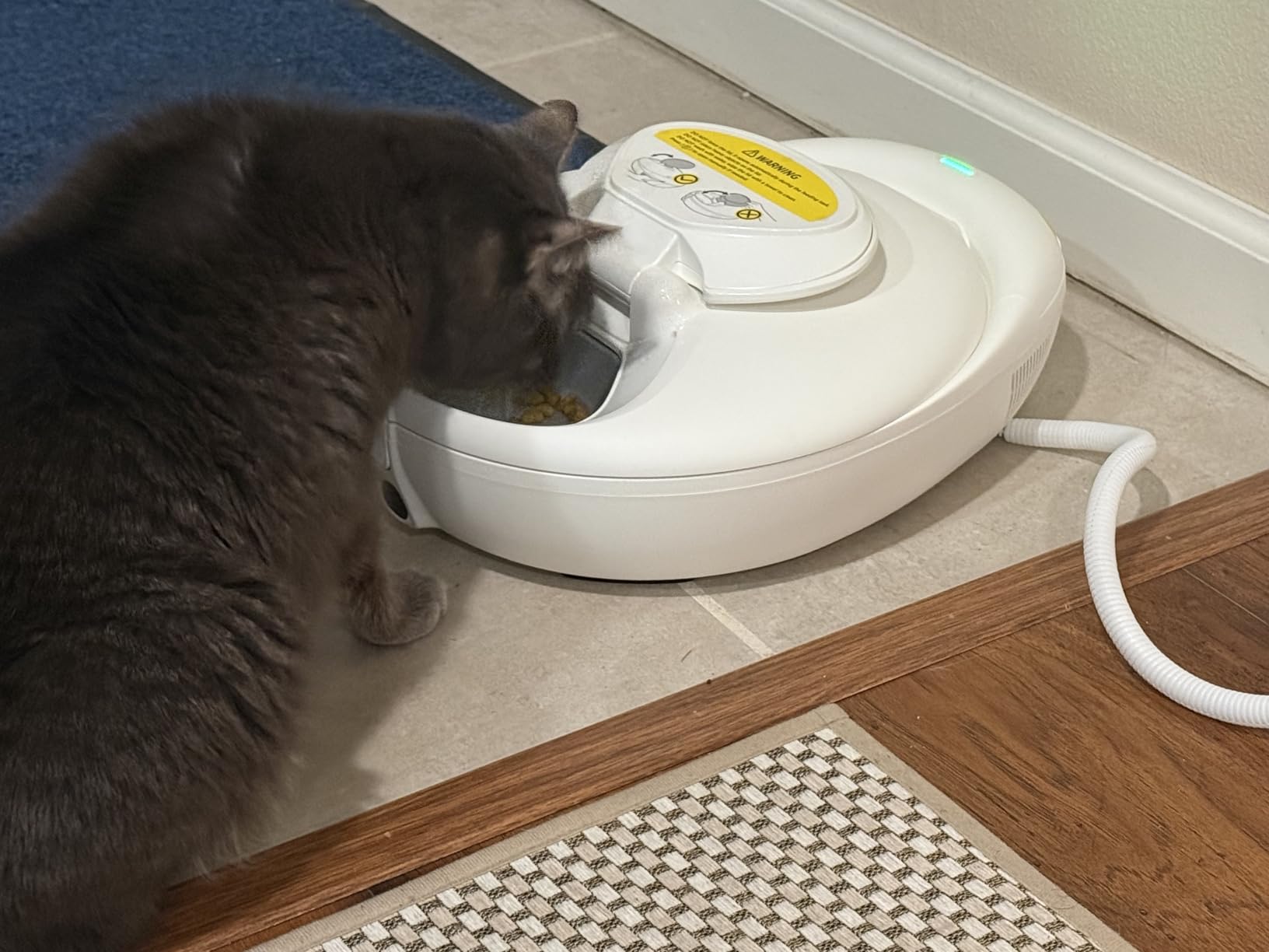 Automatic Cat Feeder for Wet Food, Smart Dual-Temp Semiconductor customer photo 2