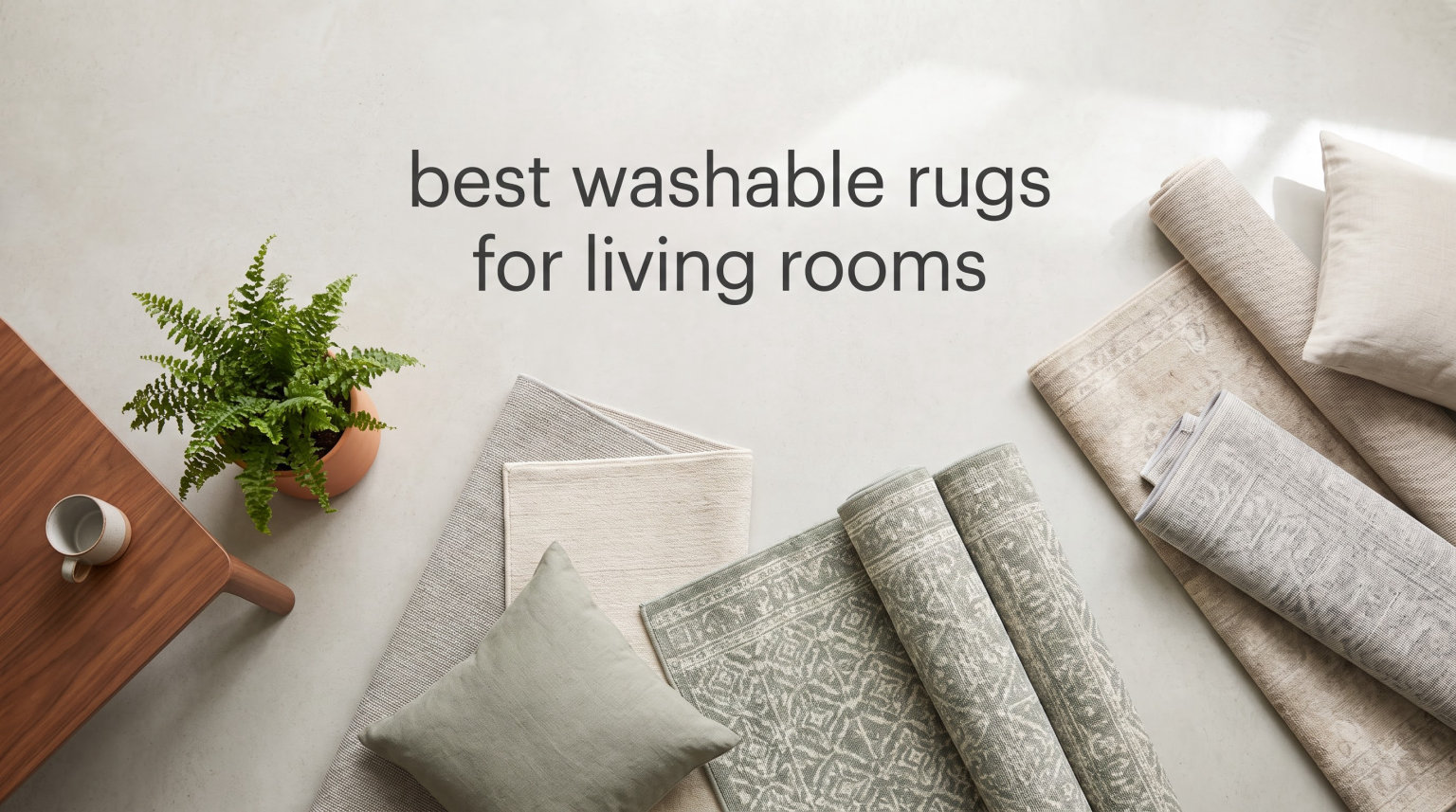 best washable rugs for living rooms