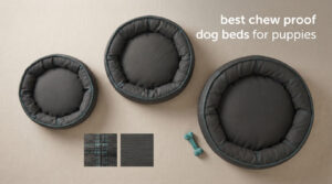 best chew proof dog beds for puppies