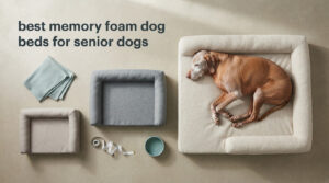 best memory foam dog beds for senior dogs