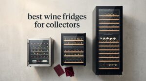 best wine fridges for collectors