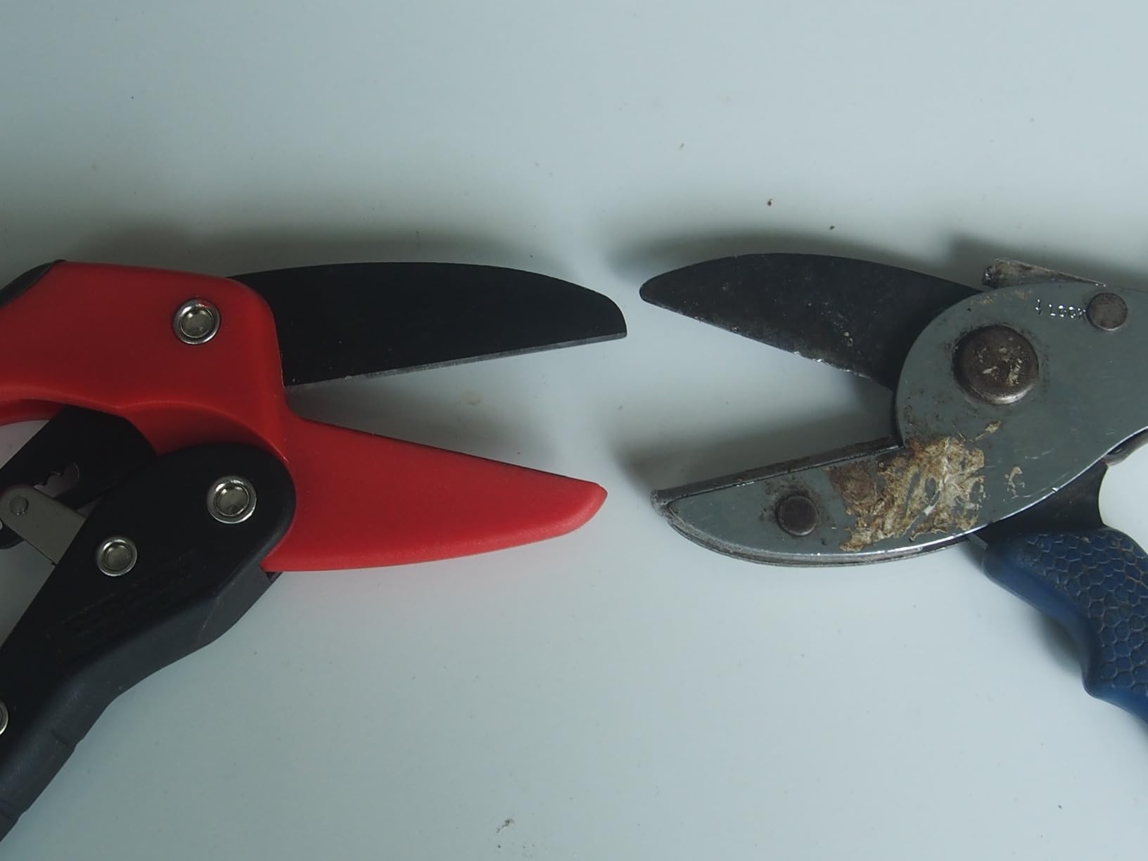 Corona Tools Ratchet Hand Pruner – 3/4-Inch Cut Capacity Garden Pruning Shears for Stems & Branches, Heavy-Duty Ratcheting Hand Pruners with Comfortable Grip customer photo 1