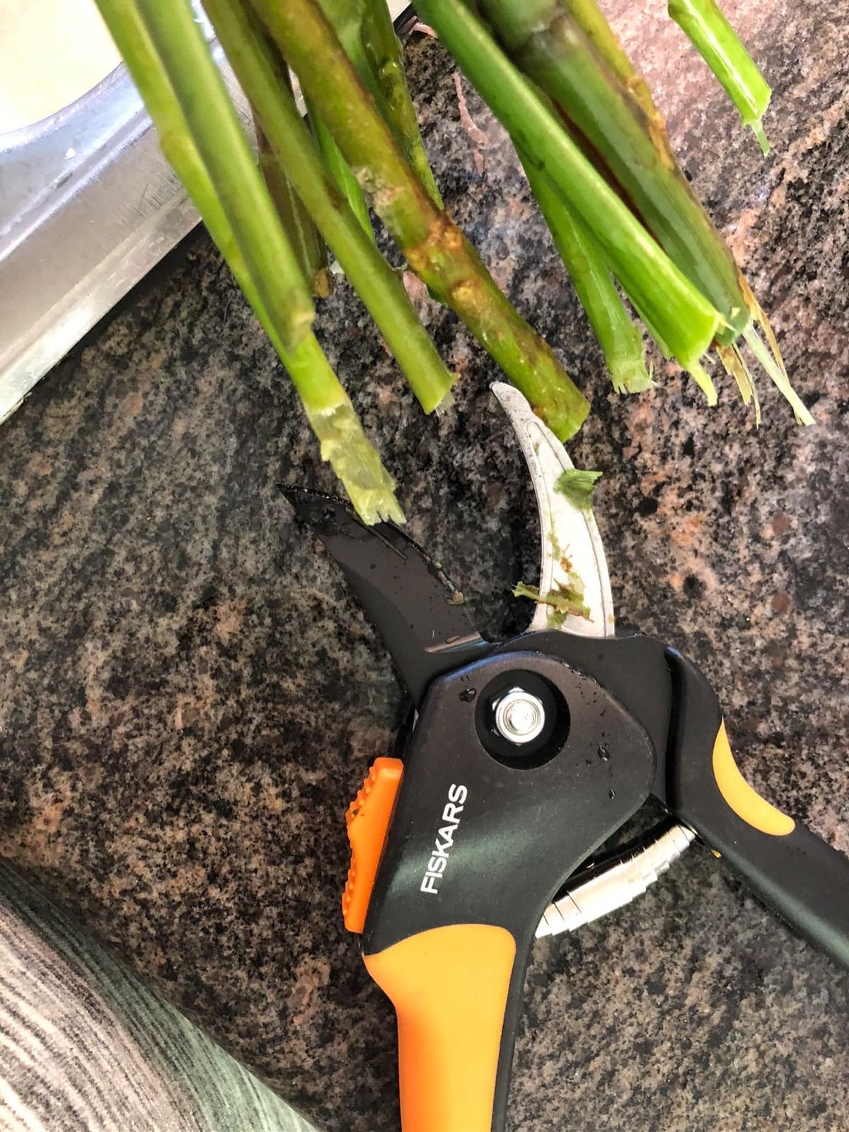 Fiskars SoftGrip Bypass Pruning Shears, 5/8