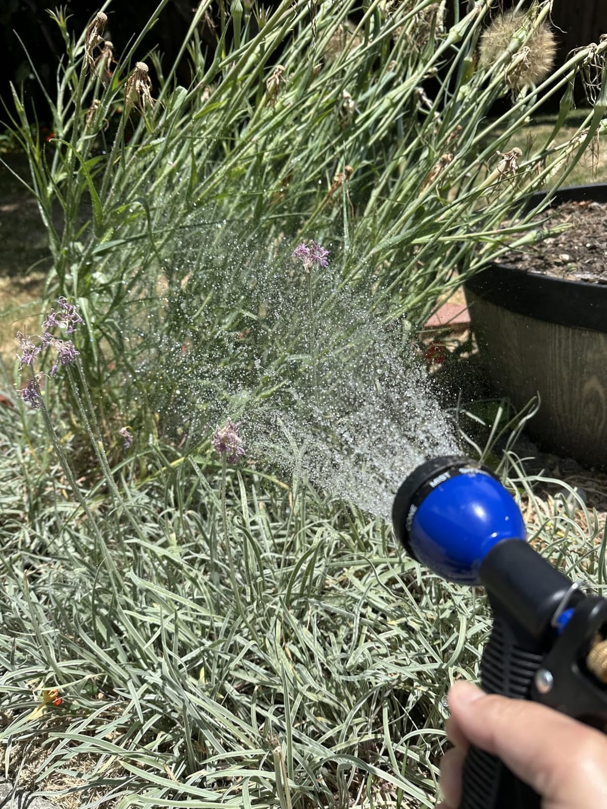 VIKING Garden Hose Nozzle with 8 Spray Patterns for Washing Cars customer photo 1