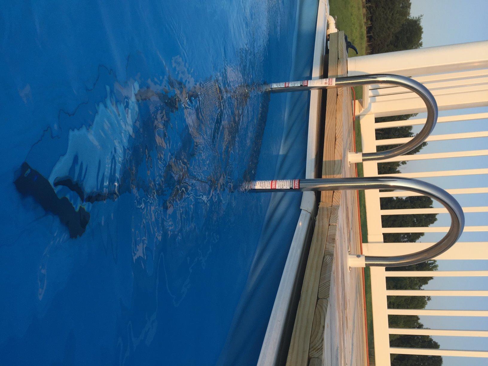 Blue Wave Premium Stainless Steel in-Pool Ladder for Above Ground Pools customer photo 1