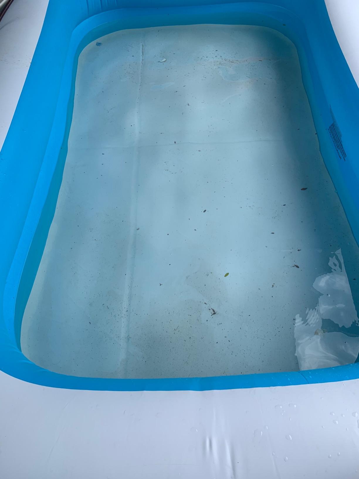 Intex Above Ground Pool Maintenance Kit with Vacuum and Pole customer photo 1
