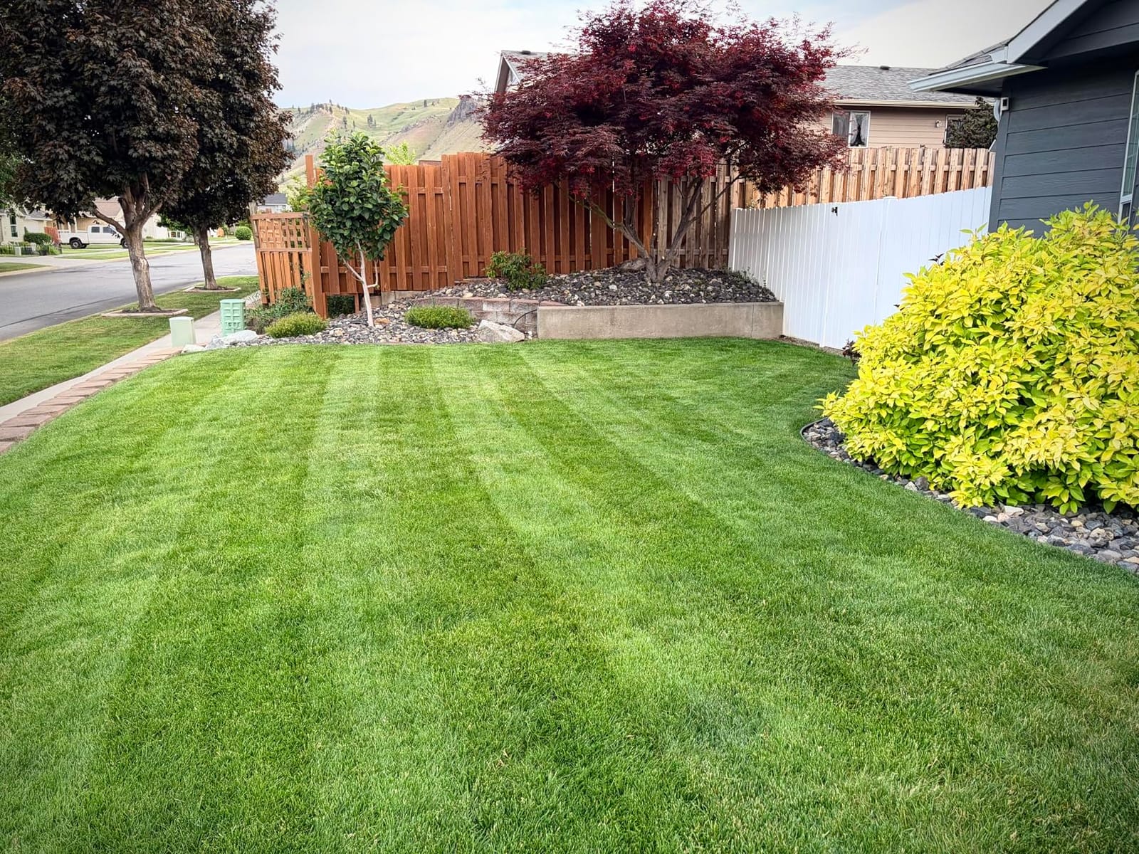 EGO AR2100 21inch Mower Striping Kit for EGO 21inch Walk Behind Mowers customer photo 2