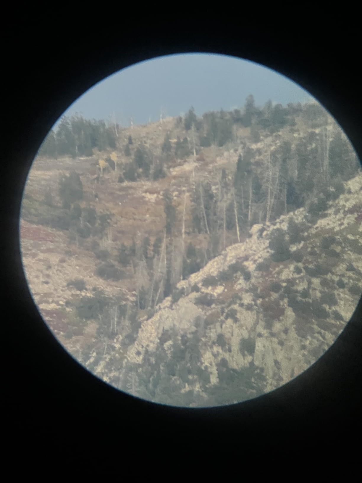 Vortex Optics Diamondback Spotting Scopes customer photo 2