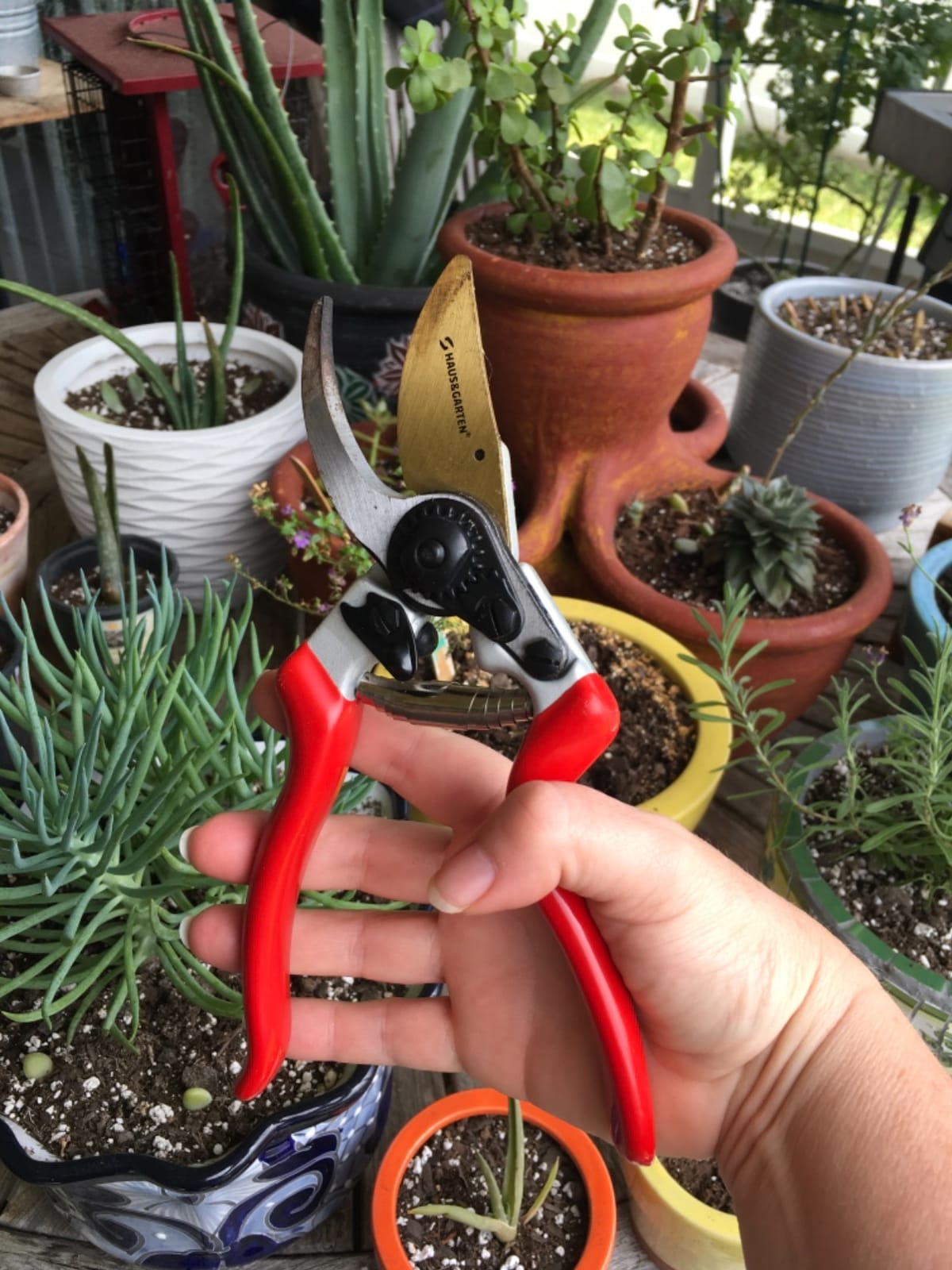 Haus & Garten EnduroPRO Ergonomic Bypass Pruners - Professional Titanium Garden Shears - Heavy Duty Hand Pruning Scissor, Tree Trimmer, Gardening Tool, Branch, Hedge, Rose, Shrub & Bush Clippers customer photo 1