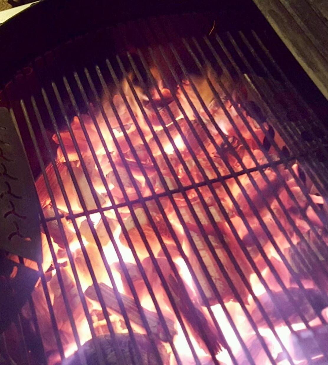 Jealous Devil Chunx XL Lump Charcoal, 100% All Natural BBQ Hardwood customer photo 1