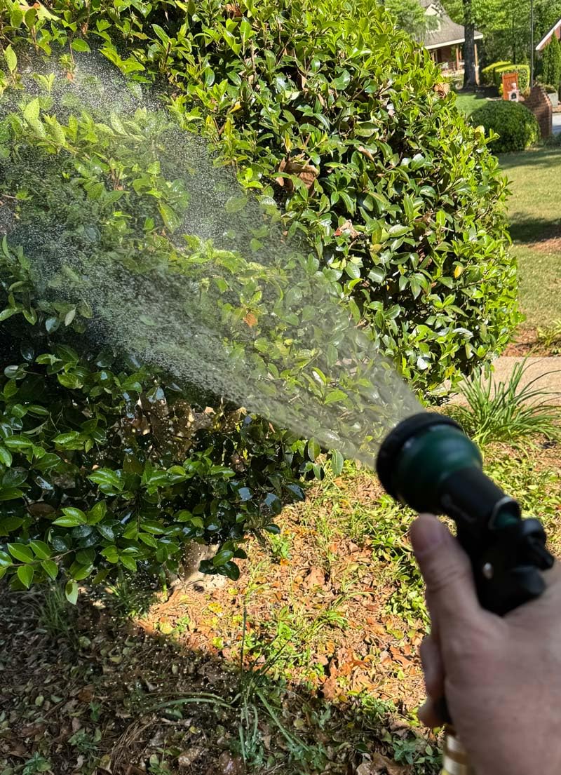 AUTOMAN Garden Hose Nozzle, Water Hose Sprayer Nozzle with 7 Adjustable Watering Patterns, Slip Resistant for Watering Plants, Lawn& Garden, Washing Cars, Cleaning, Showering Pets & Outdoor Fun. customer photo 1