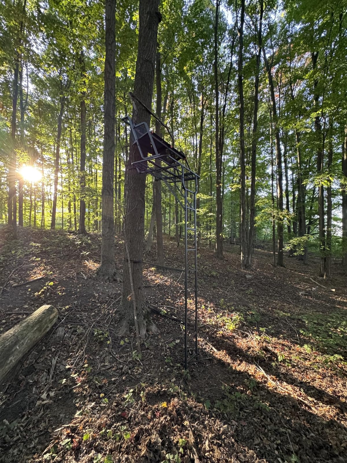 BIG GAME Ladder Tree/Tripod Stand for Hunting Deer customer photo 1