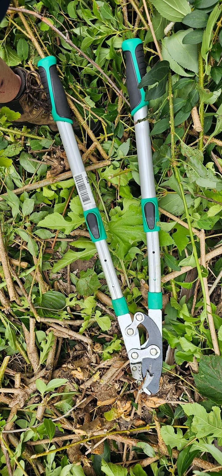 Heavy Duty Anvil Lopping Shears -2 inch Cutting Capacity Bypass Lopper - Extendable 26 Inch to 41 Inch,Professional Tree Branch Cutter customer photo 2