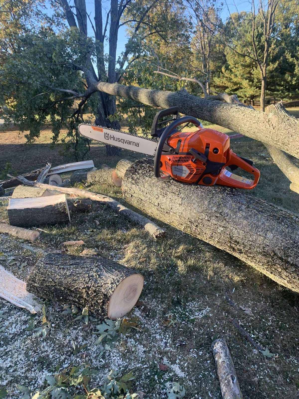 Husqvarna 967690628 545 Mark II Professional Gas Chainsaw, Tree Cutter customer photo 1