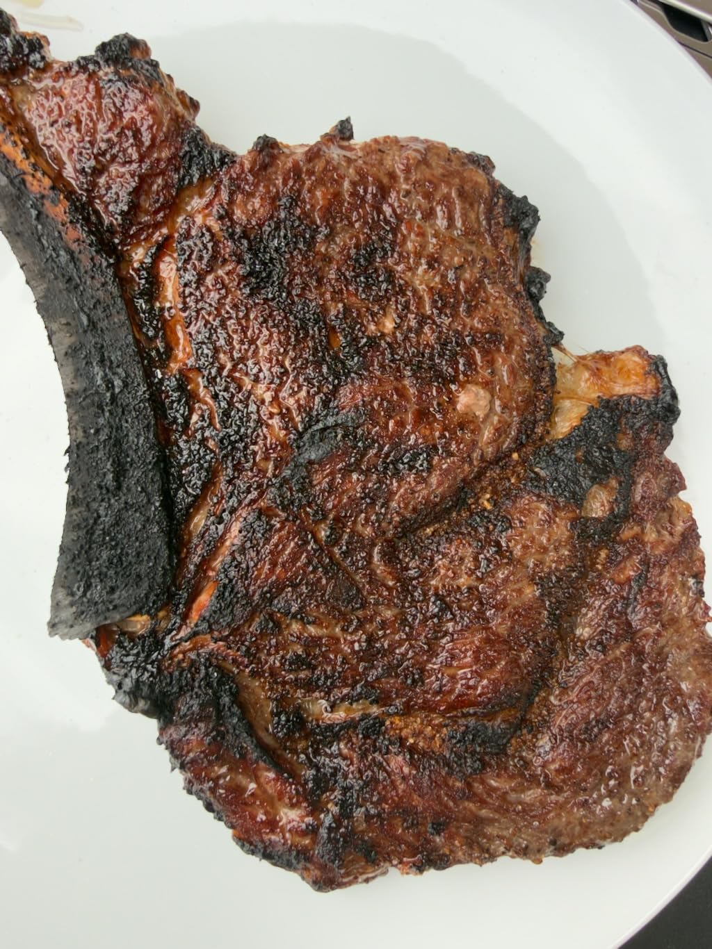 BIG HORN OUTDOORS Infrared Propane Gas Grill 1500°F in 3-5 Mins, 16 inch customer photo 2