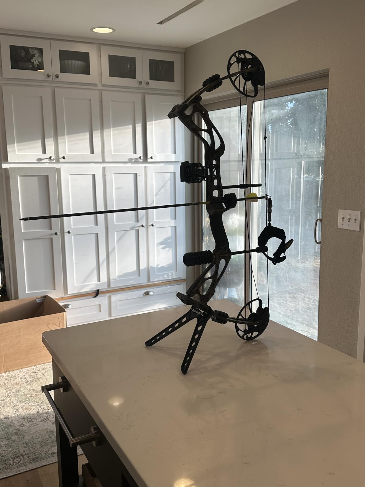 Sanlida Archery Dragon X8 RTH Compound Bow Package for Adults and Teens,18”-31” Draw Length,0-70 Lbs Draw Weight,up to IBO 310 fps,No Bow Press Needed,Limited Life-time Warranty,RH Only customer photo 1