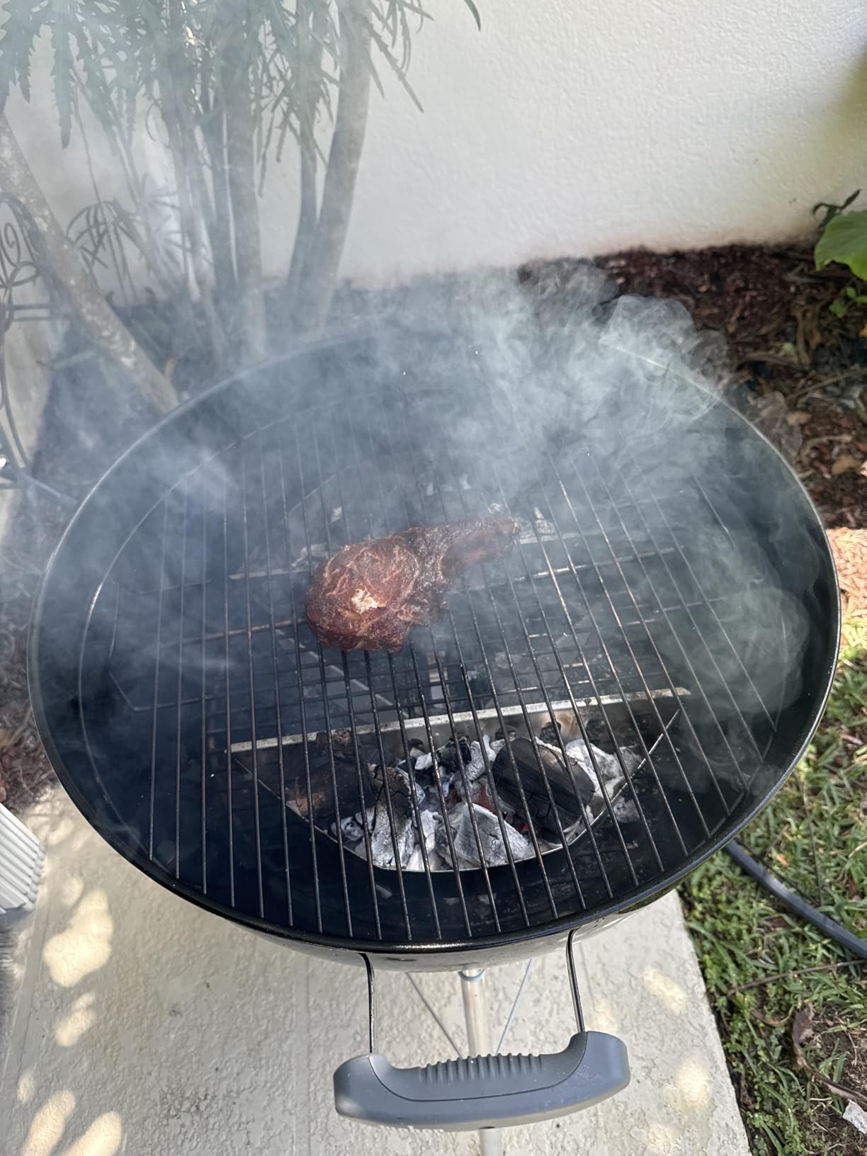 Mr. Bar-B-Q All Natural Hardwood Lump Charcoal for Grilling, 8 Lb. customer photo 1