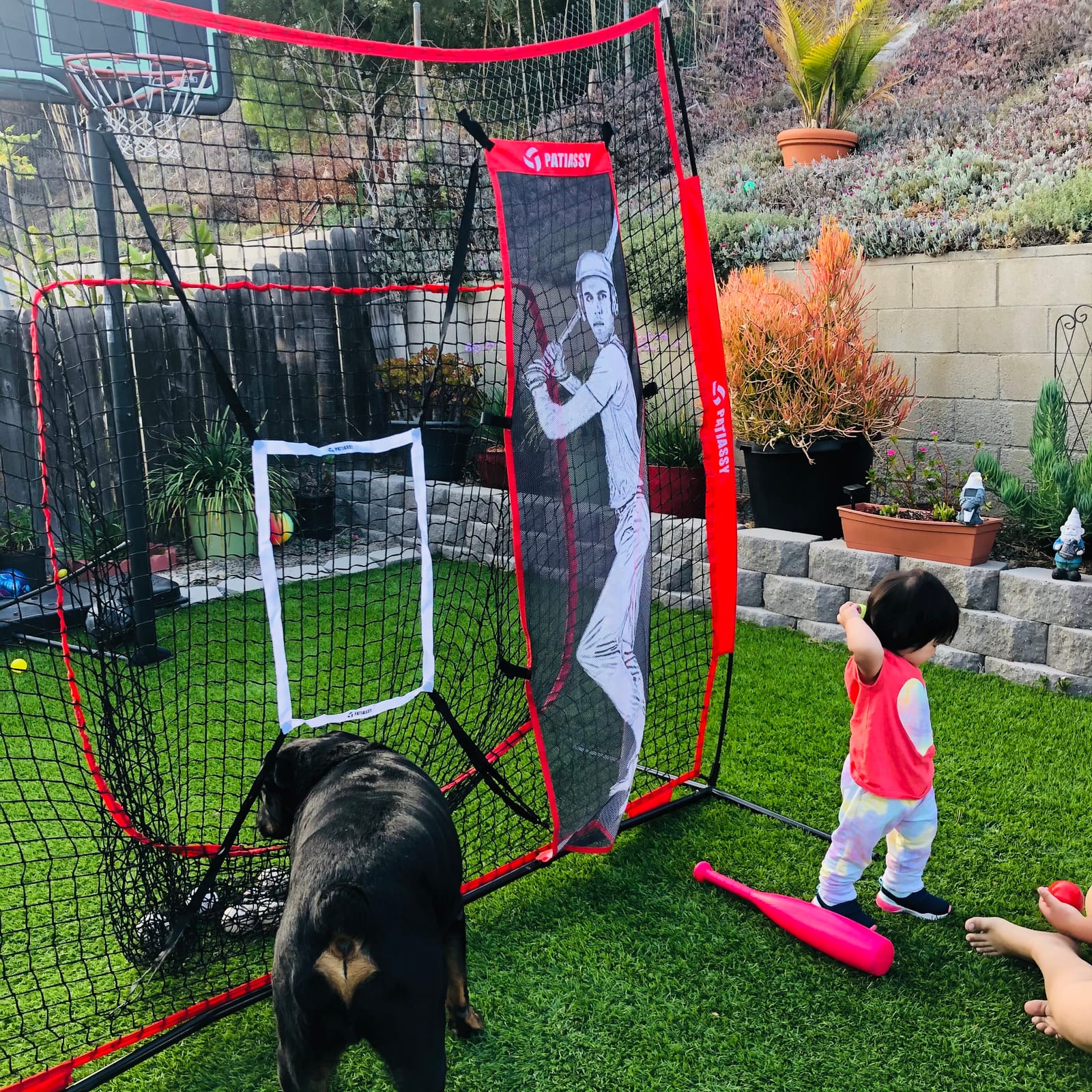 Complete Badminton Set for Backyard Outdoor Badminton Net & Racket customer photo 1