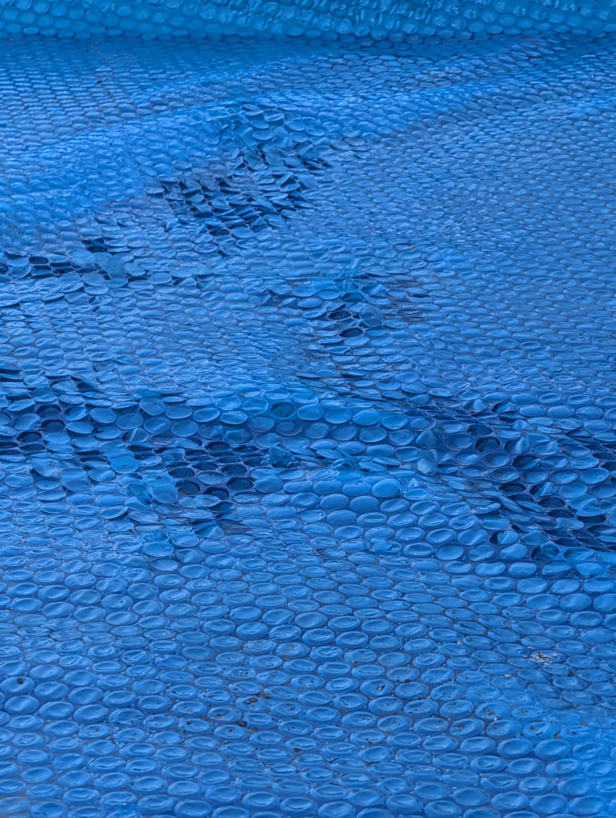 In The Swim 18' Standard Blue Round Solar Pool Cover 8 Mil customer photo 2