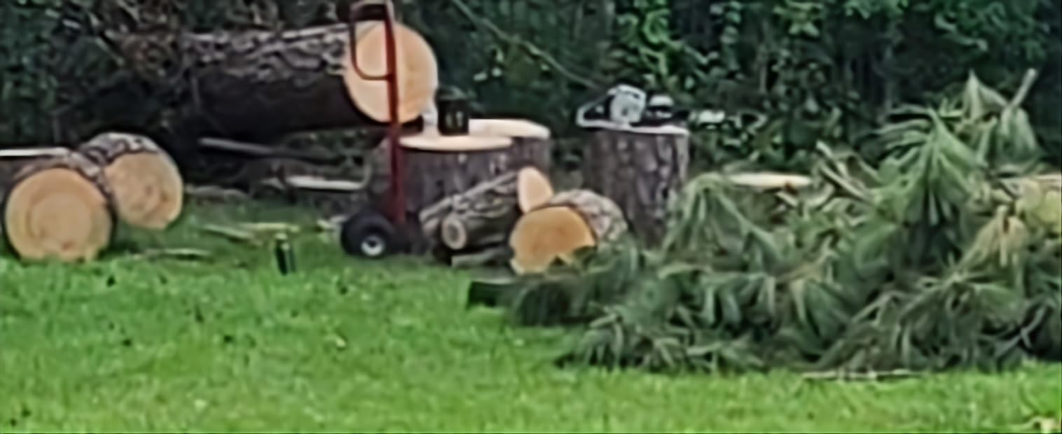 EGO POWER+ Chain Saw, 20” Battery Powered Chainsaw, Electric Cordless, Battery and Charger Not Included – CS2000 customer photo 2