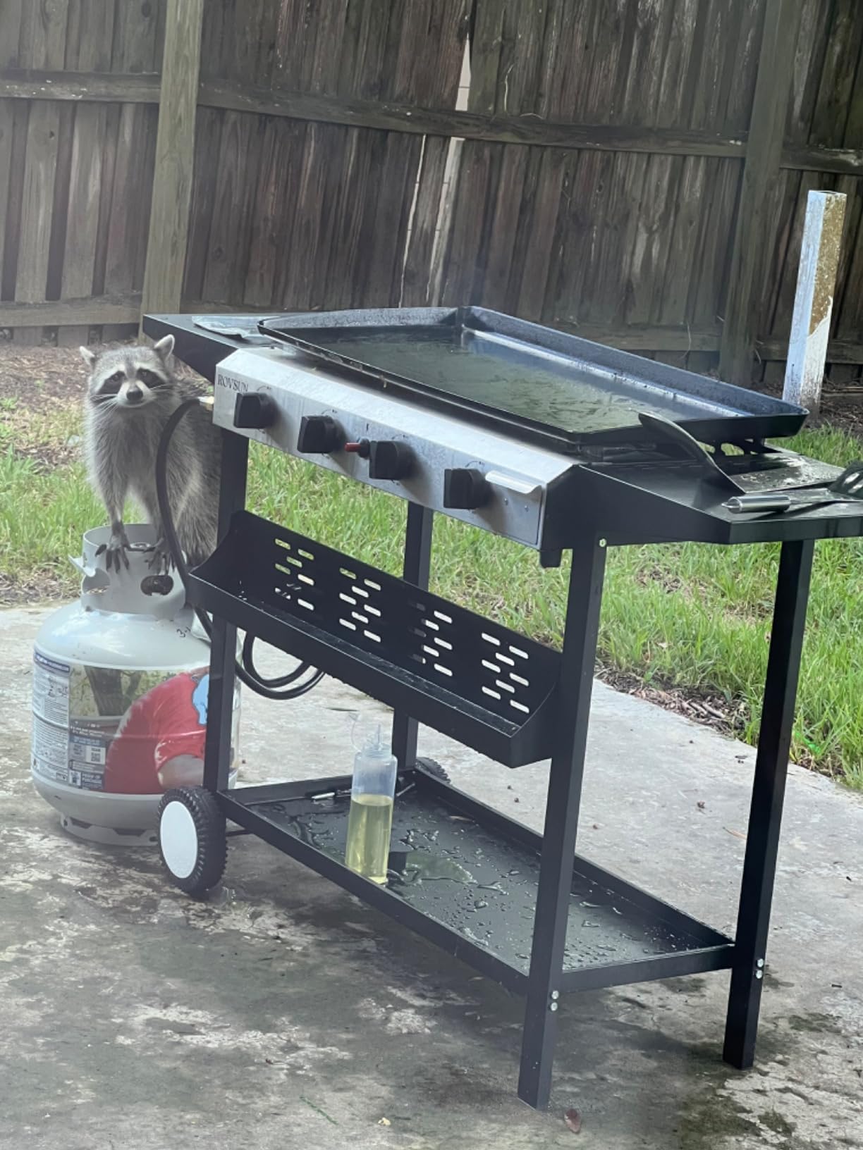 ROVSUN 4 Burner Portable Propane Griddle with Nonstick Enameled Tray, 40000 BTU Rolling Flat Top Gas Grill with Electronic Ignition, Side Shelves & Regulator for Outdoor Cooking Camping BBQ Tailgating customer photo 2