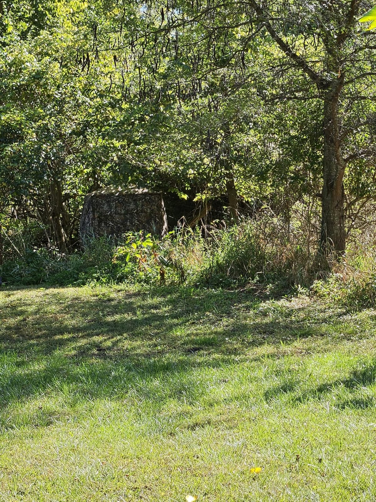TIDEWE Hunting-Blinds BL008-AMZ customer photo 1