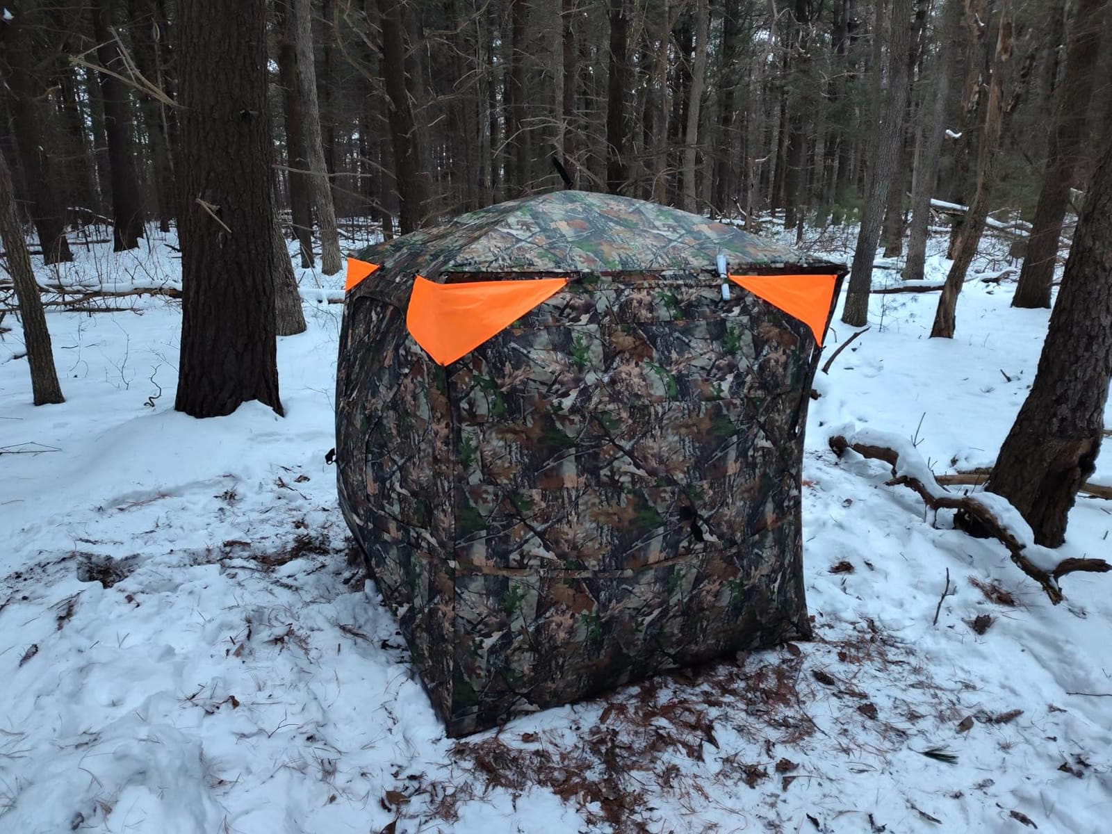 TIDEWE Hunting-Blinds BL008-AMZ customer photo 2