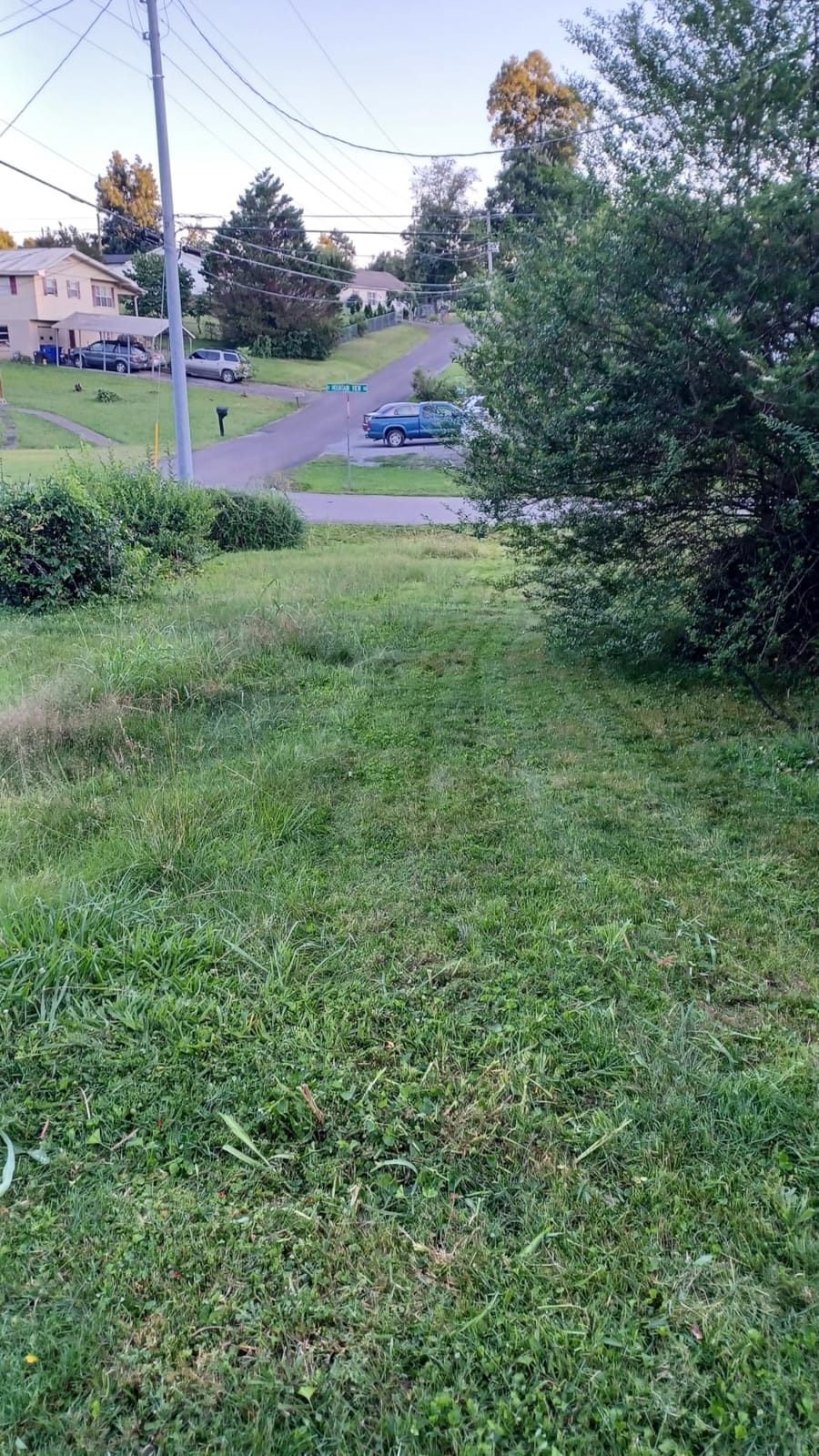 SKIL PWR CORE 40 Brushless 40V 20-Inch Push Mower Kit, Includes 6.0Ah Battery and 150W Charger - PM4910-15 customer photo 1
