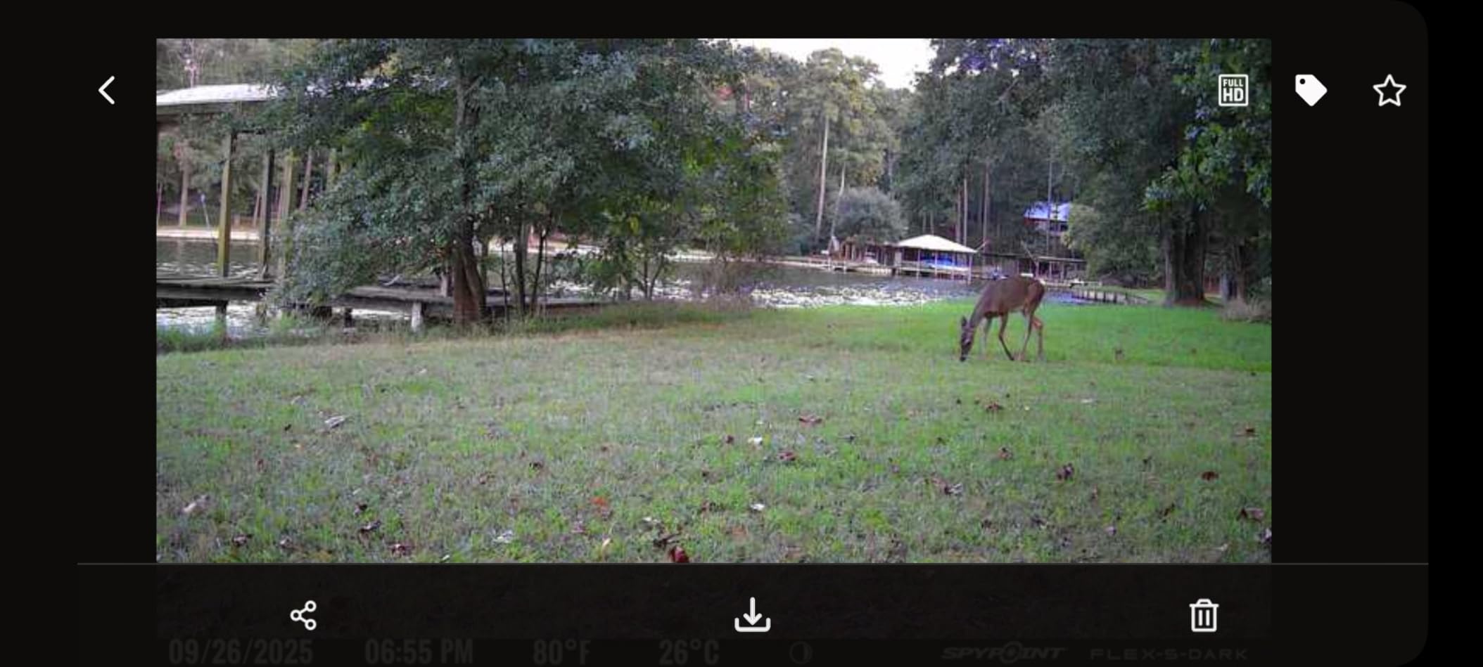 SPYPOINT Flex-S Dark Ultilmate, Solar Cellular Trail Camera, Free PhotoPlan customer photo 1