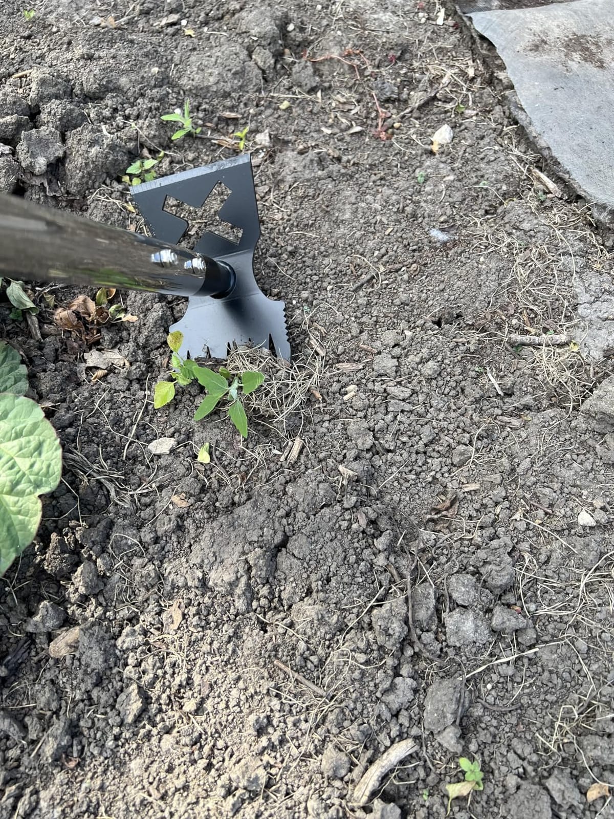 Weed Puller Tool with Long Handle, 60