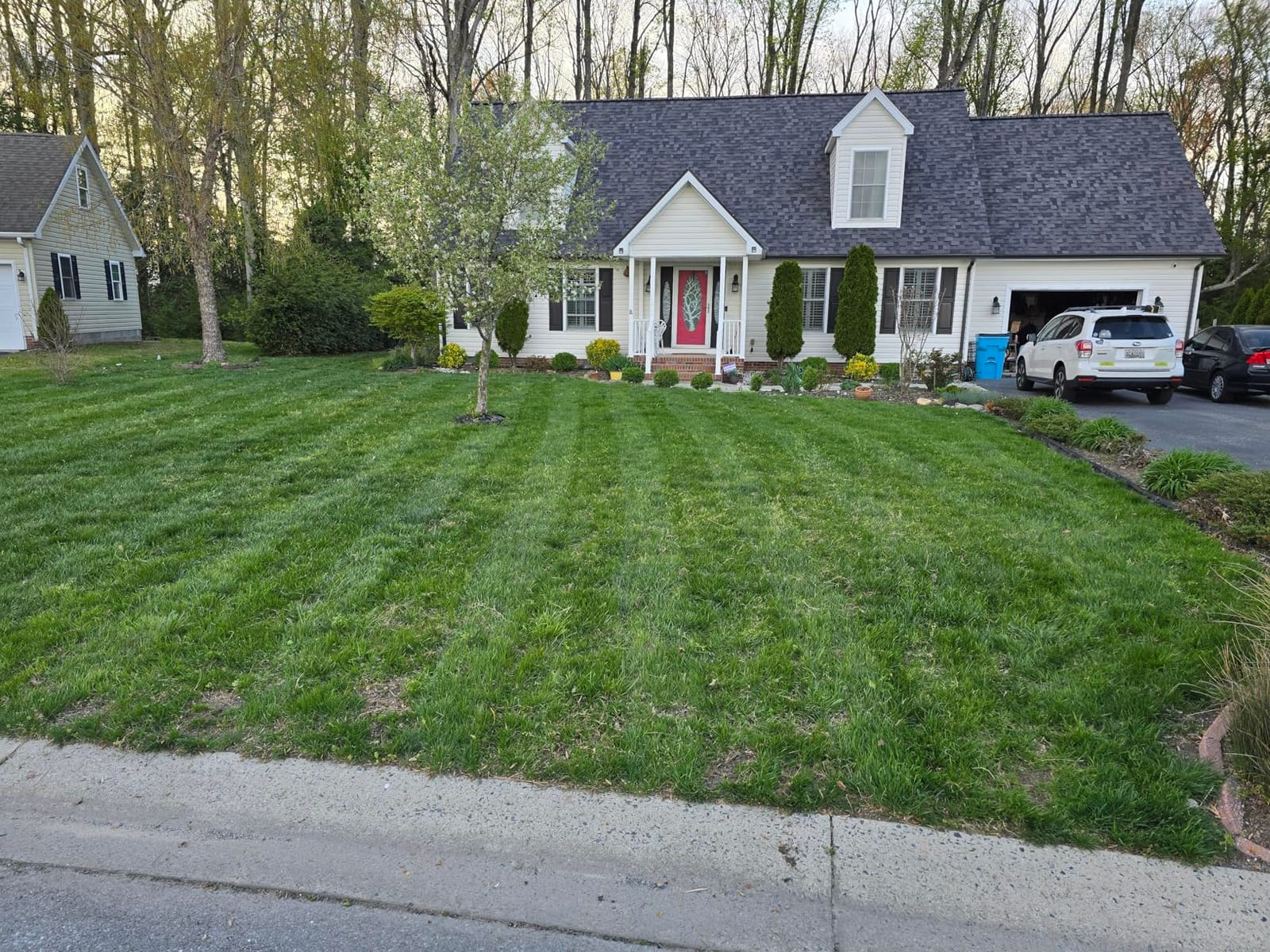 Suchtale Lawn Striping Kit for Push Mowers,Fits Gas or Electric Lawn Mowers customer photo 1