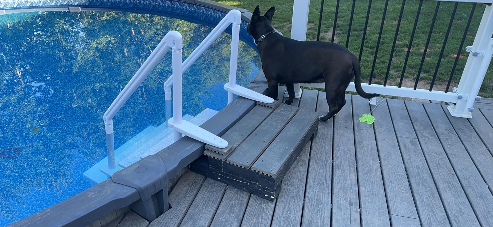 XtremepowerUS Above Ground Swimming Pool Ladder and 4-Step System with Handrails, Heavy-Duty Entry Ladder for Deck to Pool Access, Safety Step Design customer photo 1