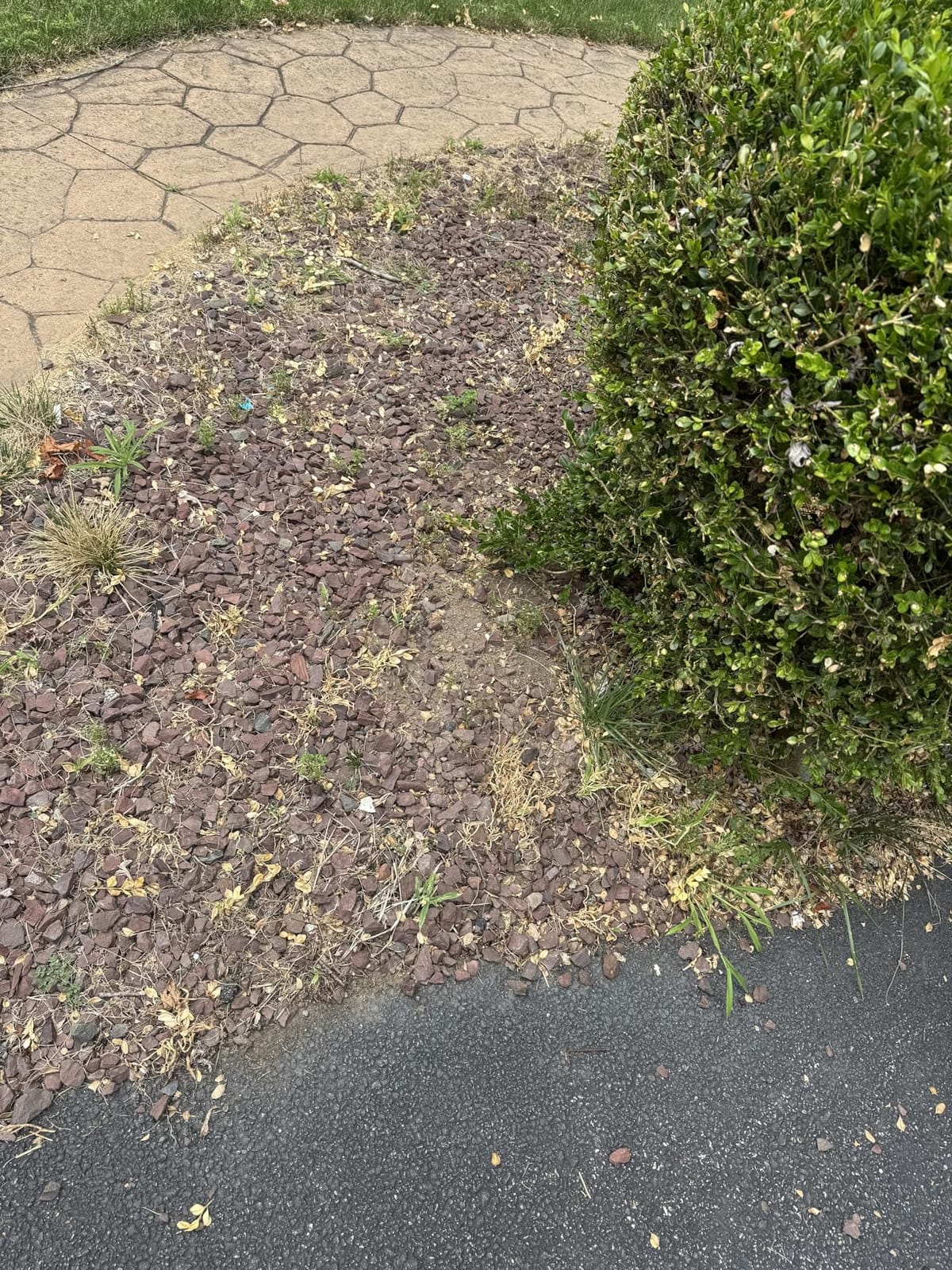 TDH Backpack Leaf Blower,63CC Backpack Blower with 665 CFM & 205 MPH customer photo 1